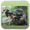 Paintball